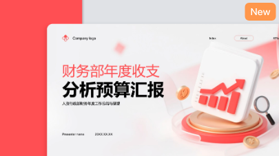 财务部年度收支分析