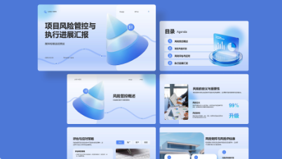 项目风险管控进展汇报