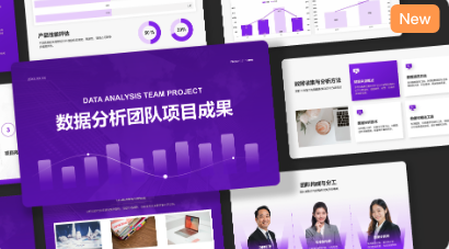 数据分析团队项目成果